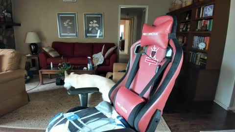 Snapshot of machinecumkelly69 chatting on 21, 9, 2025 machinecumkelly69 online show from 21, 9, 2025