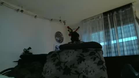 Snapshot of mad_dem0n chatting on 17, 12, 2024 Manuel online show from 17, 12, 2024