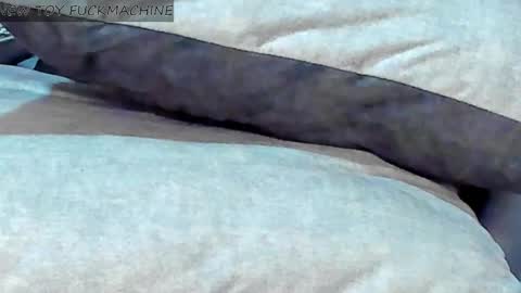   online show from 8, 2, 2025