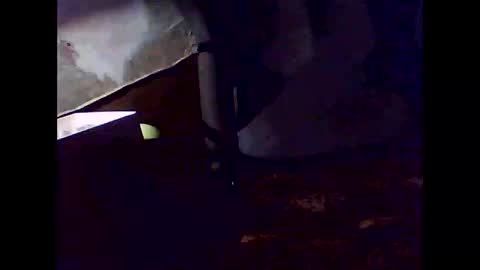 romantic online show from 2, 11, 2025