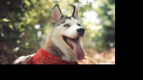 magic_katarina_ online show from 25, 1, 2025