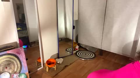 Mikky or Moon online show from 17, 1, 2025