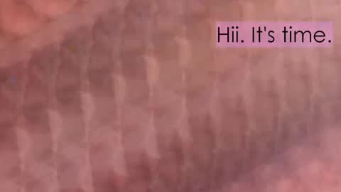 maitte_angel online show from 2, 4, 2026