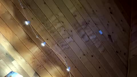 makeyousquirt1969 online show from 10, 2, 2026