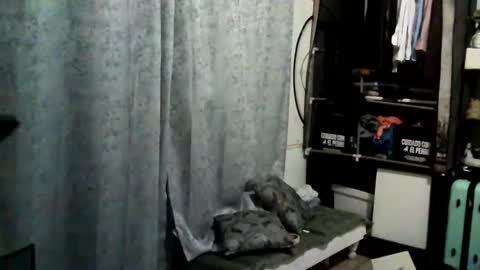 mamarrifles online show from 21, 9, 2025