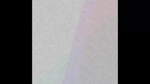 manatee bear online show from 17, 9, 2025