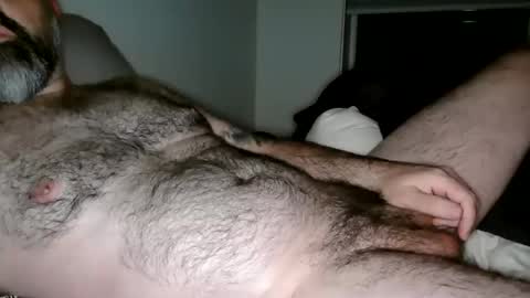 Man Dime Bear17 online show from 24, 11, 2025