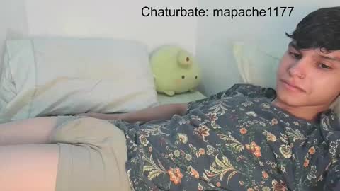 Snapshot of mapache1177 chatting on 24, 2, 2026 mapache1177 online show from 24, 2, 2026