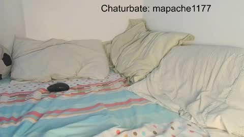 mapache1177 online show from 21, 5, 2026
