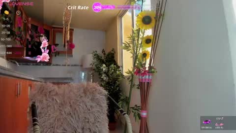 MARA  online show from 1, 6, 2026