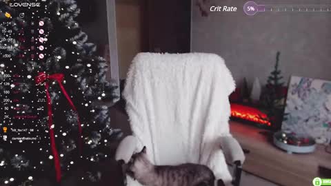 Marcy online show from 5, 12, 2024