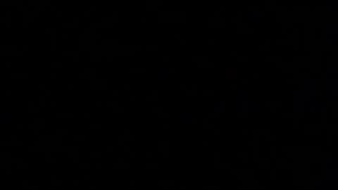 Elle online show from 20, 10, 2025