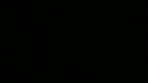 Elle online show from 14, 3, 2026