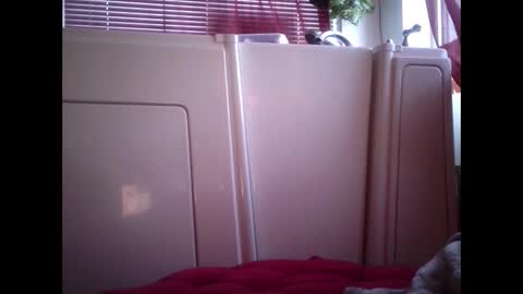 Snapshot of mariahjsav95 chatting on 12, 2, 2025 MariahJade95 online show from 12, 2, 2025