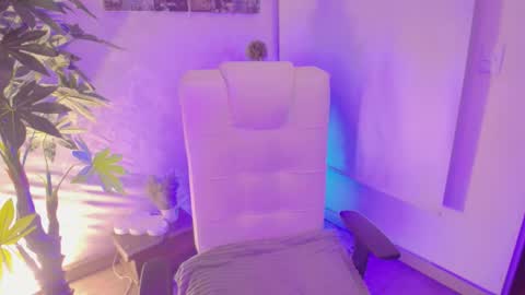 Vane online show from 8, 11, 2025