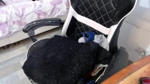 Marilyn  online show from 26, 2, 2025