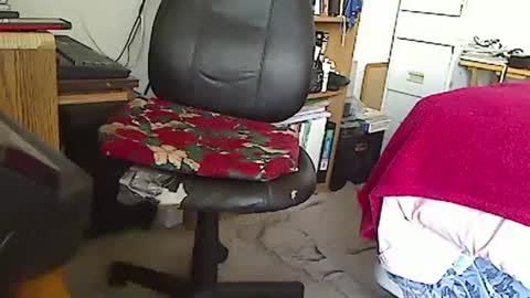 MarioDavidAndybros online show from 1, 1, 2025