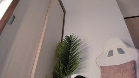 Snapshot of markus_blass chatting on 29, 12, 2024 markus... Y online show from 29, 12, 2024