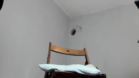 MARK online show from 16, 10, 2025