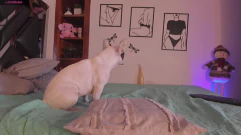 Mar online show from 3, 1, 2025