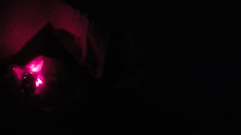 martamoontrans online show from 8, 10, 2025