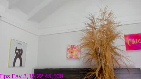 martina mIIler online show from 17, 11, 2025