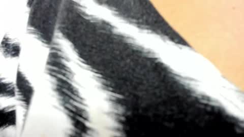 Marylin online show from 1, 3, 2025