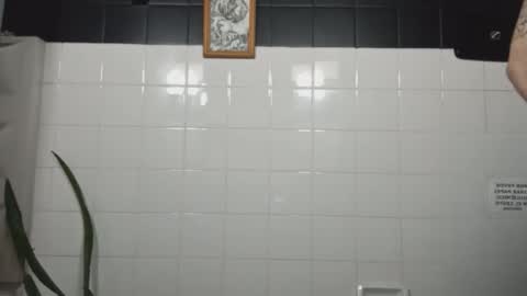 masachusset online show from 6, 1, 2026