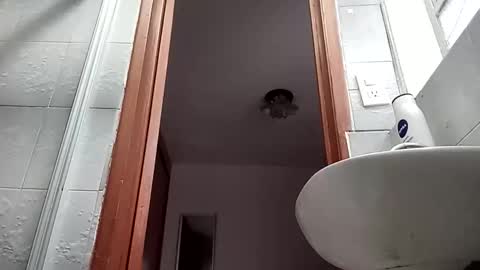 Masked Latin Noir online show from 12, 4, 2026