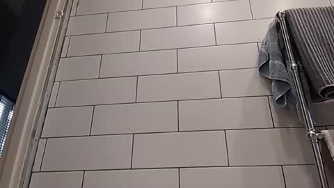 Snapshot of masterclass69er chatting on 14, 10, 2025 Bob online show from 14, 10, 2025