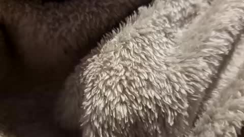 Snapshot of mattca80 chatting on 4, 10, 2025 mattca80 online show from 4, 10, 2025