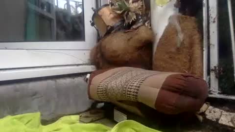 matureman1234 online show from 29, 10, 2025