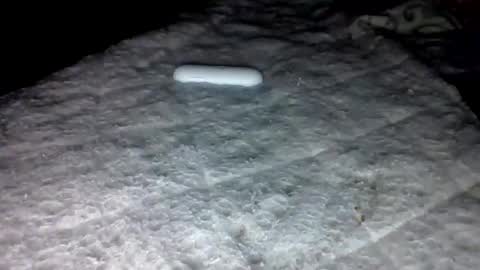 mauricescott online show from 3, 2, 2026