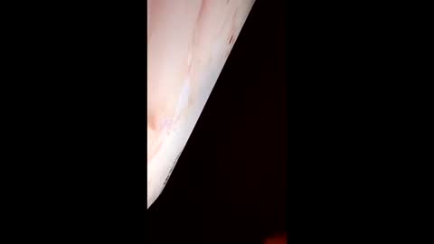 mausaa1199 online show from 31, 3, 2026