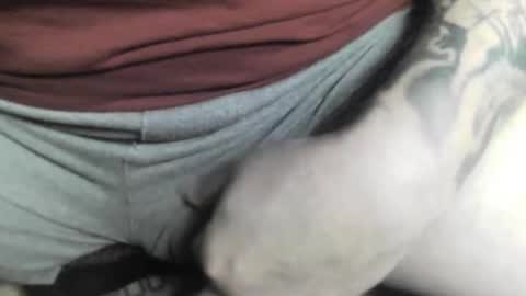 max_gv online show from 12, 10, 2025