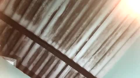 Maximo Aron Vega online show from 25, 1, 2025