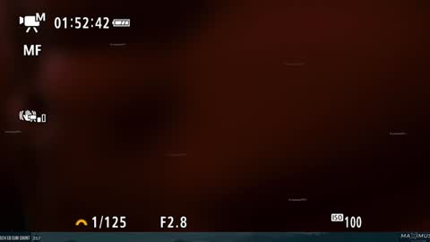 Maximus7871 online show from 31, 1, 2025