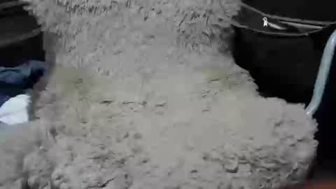 Max online show from 7, 1, 2025