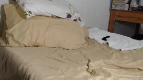 Maxx online show from 4, 11, 2025