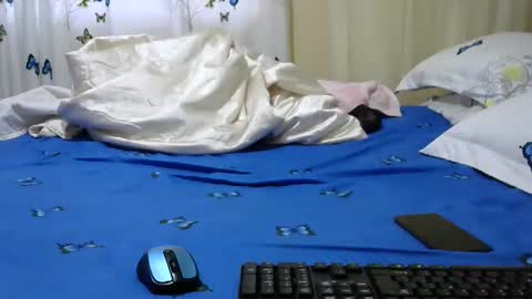 maya online show from 31, 12, 2024