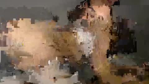 Maya Hill online show from 10, 10, 2025