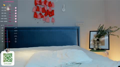 My name Casey  online show from 26, 1, 2025