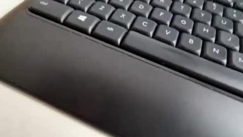 mcloraheen online show from 20, 2, 2026