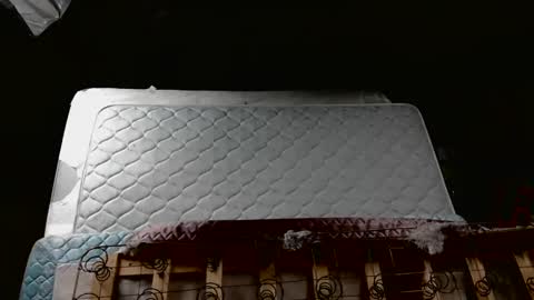 meateater7455 online show from 16, 11, 2025