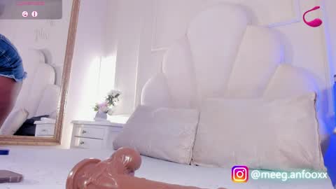 Snapshot of meeganfoox chatting on 2, 4, 2026 meeganfoox online show from 2, 4, 2026