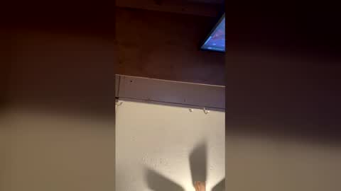 meep08 online show from 8, 1, 2026