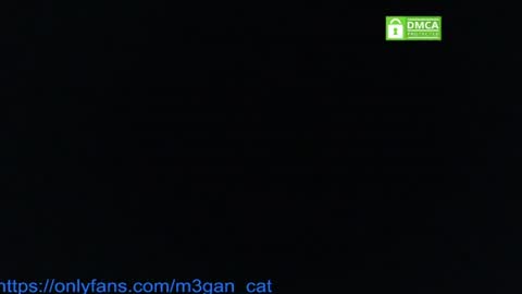 Snapshot of megan_cat chatting on 4, 7, 2026 megan_cat online show from 4, 7, 2026