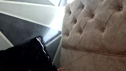 Megan and sophi online show from 20, 10, 2025