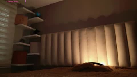     online show from 14, 11, 2025