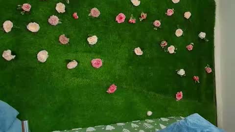 megatitts_ online show from 22, 2, 2026